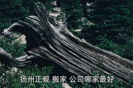  扬州正规 搬家 公司哪家最好