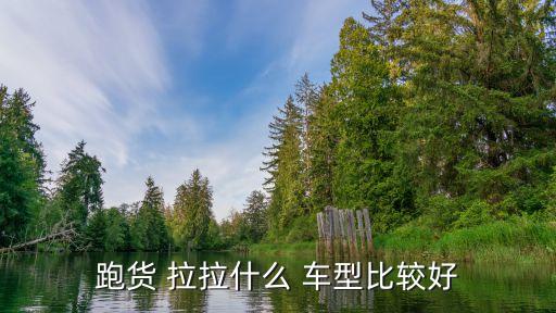 跑货 拉拉什么 车型比较好