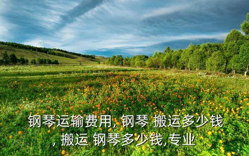  钢琴运输费用, 钢琴 搬运多少钱, 搬运 钢琴多少钱,专业