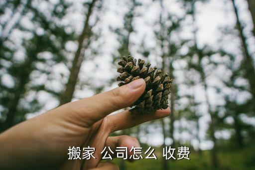 搬家公司收费明细表图,正规搬家公司收费都是先沟通后标价
