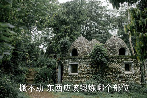  搬不动 东西应该锻炼哪个部位