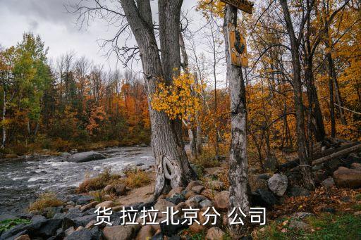 香河有货拉拉公司在哪,货拉拉公司有三家分公司做货运拉服务