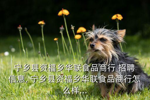  宁乡县资福乡华联食品商行 招聘 信息, 宁乡县资福乡华联食品商行怎么样...