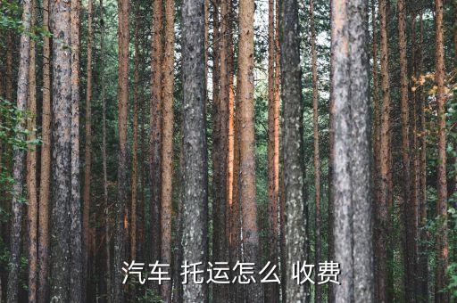  汽车 托运怎么 收费