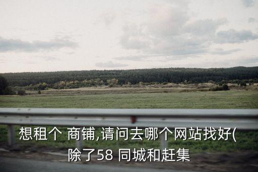 想租个 商铺,请问去哪个网站找好(除了58 同城和赶集
