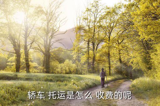 轿车 托运是怎么 收费的呢
