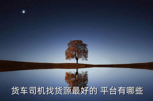  货车司机找货源最好的 平台有哪些