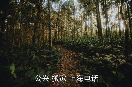 上海公兴搬家公司首页,如何省时省力?一文读懂!搬家须知