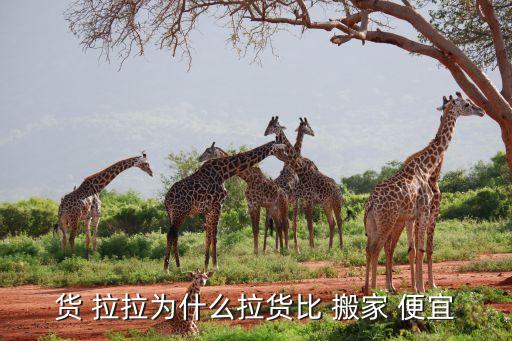 货拉拉搬家便宜吗,货拉拉物流平台您可以上网订购货物服务