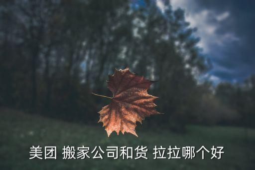 美团 搬家公司和货 拉拉哪个好