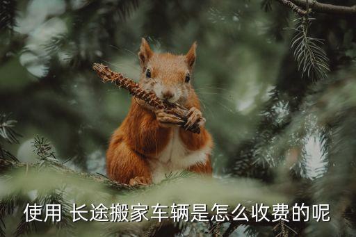 使用 长途搬家车辆是怎么收费的呢