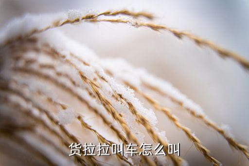货拉垃怎么叫,如何下载货拉拉app?