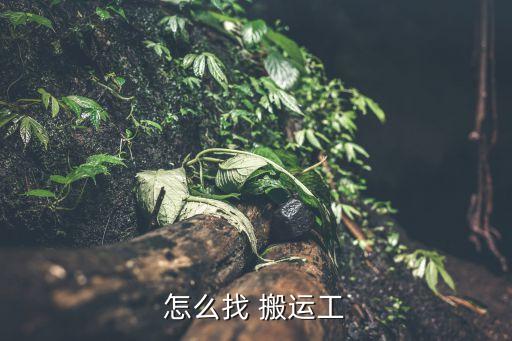 怎么找 搬运工