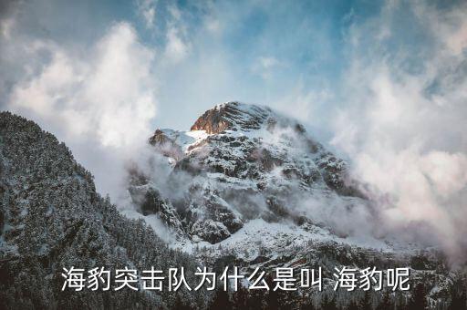  海豹突击队为什么是叫 海豹呢