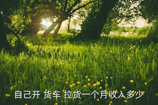 五菱小货车拉货赚钱吗,货拉拉以货物出行更轻松为使命