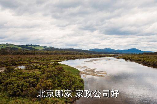 五家渠家政服务公司,乌节路家政保洁哪家公司好?