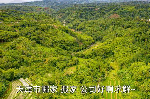  天津市哪家 搬家 公司好啊求解~