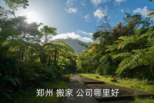  郑州 搬家 公司哪里好