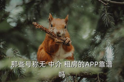 那些号称无 中介 租房的APP靠谱吗
