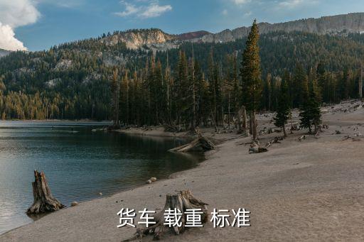  货车 载重 标准
