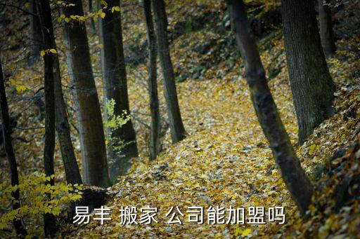 易丰 搬家 公司能加盟吗