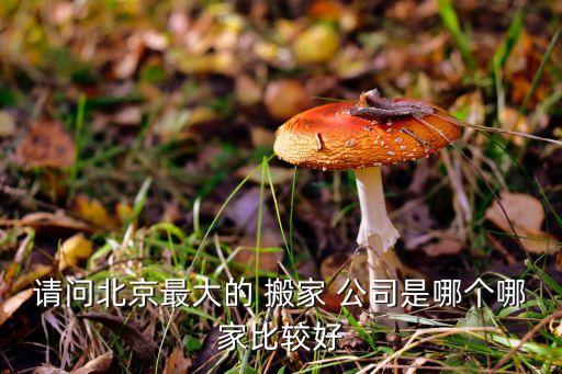 利康搬家公司,北京搬家公司推荐服务内容详情请看文一文