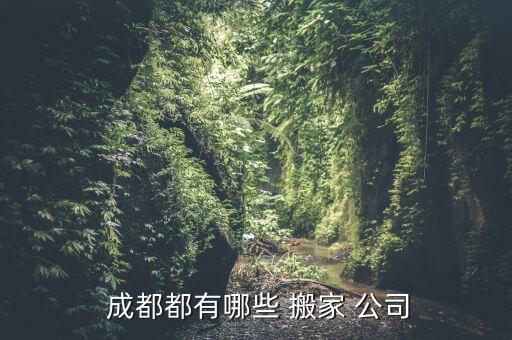  成都都有哪些 搬家 公司