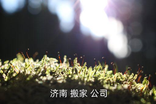 济南搬家公司大约价格,搬家公司哪些服务可靠?