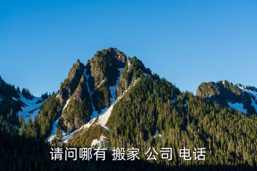 搜索附近搬家公司电话,全岛网上司机都会马上接单货女可叫车