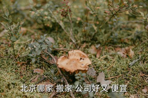 北京哪家 搬家 公司好又 便宜