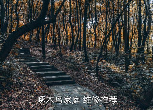 啄木鸟房屋维修,啄木鸟family维修工程师提供电子保修卡