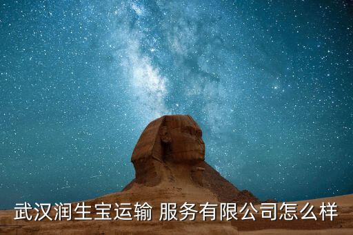 武汉润生宝运输 服务有限公司怎么样