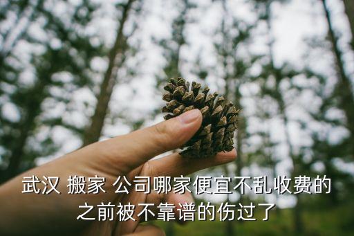 武汉市搬家公司有哪些,武汉搬家公司哪个好?一站式服务搬不累