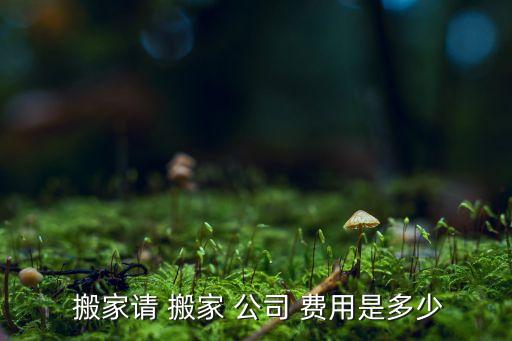  搬家请 搬家 公司 费用是多少
