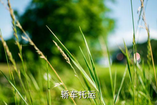 轿车托运