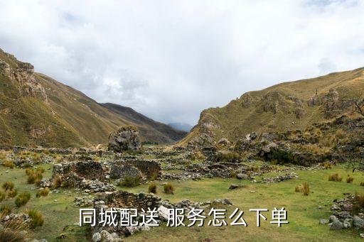  同城配送 服务怎么下单