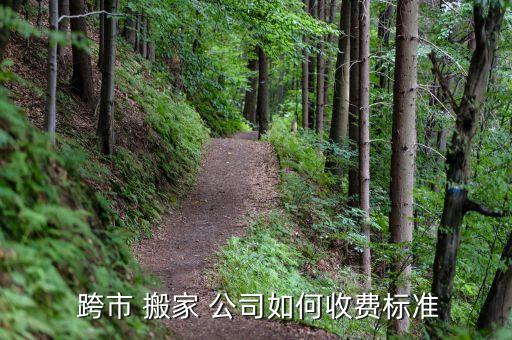 有跨市的搬家公司吗,包装材料有何不同?