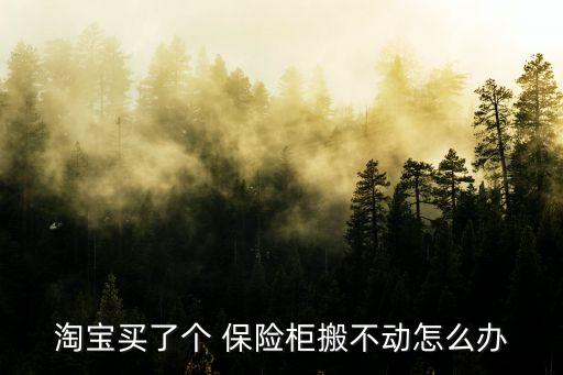 保险柜搬家怎么搬好,保险柜(箱)分类标准不同功能有别