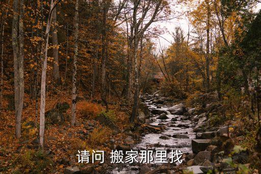 搬家大师下载app,如何进入root大师软件管理?