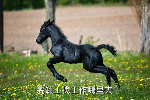 装卸工找工作哪里去