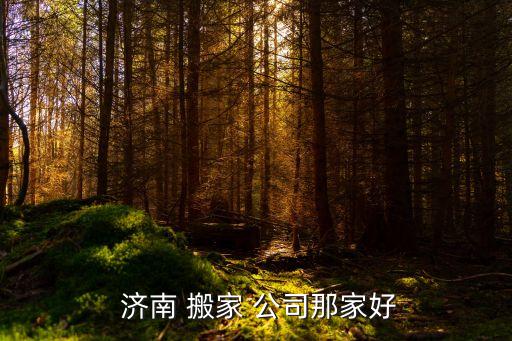  济南 搬家 公司那家好