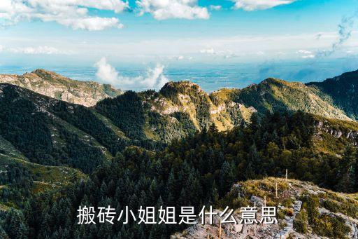 搬砖小姐姐是什么意思