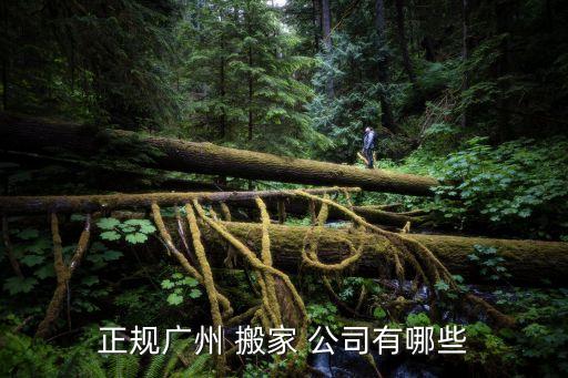 正规广州 搬家 公司有哪些