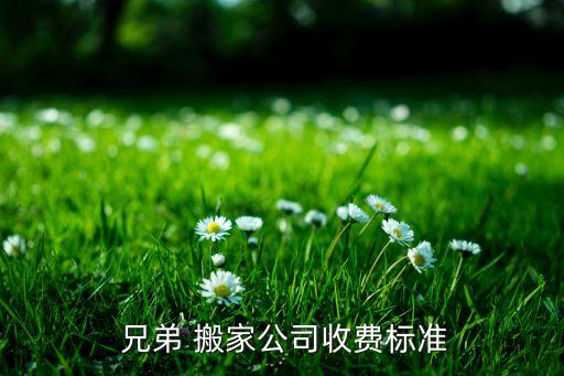  兄弟 搬家公司收费标准