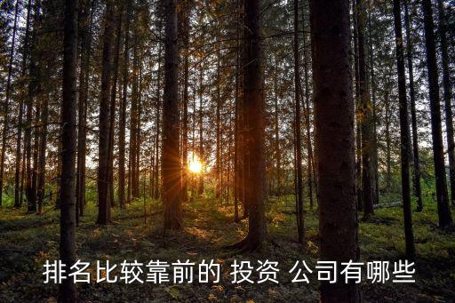  排名比较靠前的 投资 公司有哪些