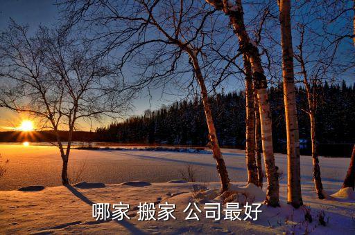 哪家 搬家 公司最好