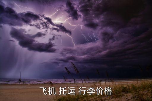 飞机 托运 行李价格