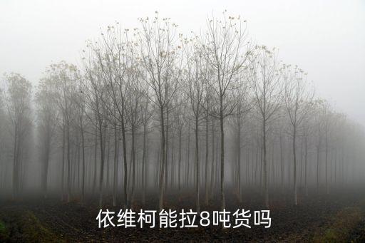 依维柯能拉8吨货吗
