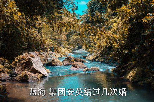  蓝海 集团安英结过几次婚