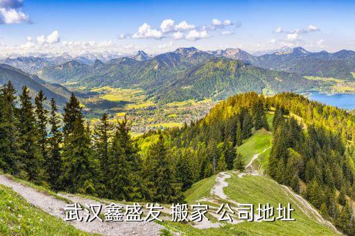  武汉鑫盛发 搬家 公司地址